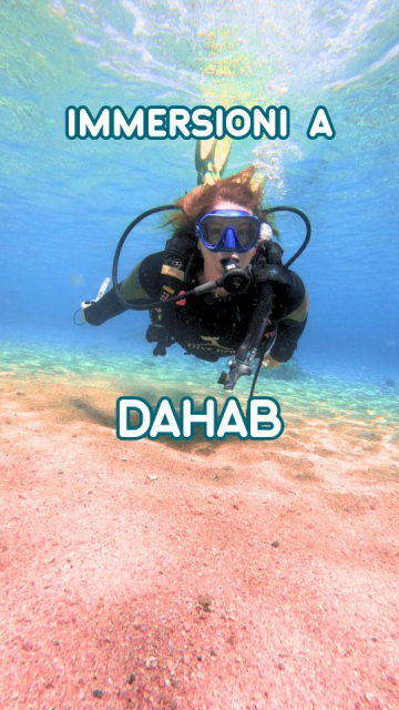 🇪🇬 Sono tornata a fare immersioni in Egitto, ma per la prima volta nella mia vita sono stata a Dahab.Non aspettatevi moschee sfarzose e caos cittadino, è molto diversa da Sharm El Sheikh. Qui si respira un'aria più autentica e tranquilla, lontano dal turismo di massa, soprattutto se fuori stagione come in questo periodo.🧡 Grazie a @getyourguide per avermi permesso di indossare il mio outfit preferito sott'acqua 🌊
Nel link in bio potete scaricare direttamente l'app e con il codice ILTEMADILARA5 avrete uno sconto su qualsiasi attività in tutto il mondo! 🧡 Vai a dare un'occhiata 👀
_
🤿Tu che rapporto hai con le immersioni? Ne hai mai fatta una? Ti leggo nei commenti 👇🏼
_
@getyourguidecommunity
#getyourguide #adv #suppliedby #getyourguidecommunity
