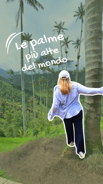 Le palme da cera della Valle del Cocora sono le più alte del mondo: arrivano fino a 60 metri. Ci cammini in mezzo, e dal vivo sembrano finte da quanto sono alte.
Consiglio spassionato: vacci presto la mattina, perché poi si riempie parecchio.
👇🏼 Salvalo se un giorno vuoi vederle dal vivo.
E tu, qual è la cosa in natura che ti ha lasciata a bocca aperta?
_
#iltemadilara #travelcontentcreator #viaggilenti