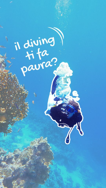 Quello che succede quando mi immergo è qualcosa di inspiegabile per chi non l'ha mai fatto.
⚠️ E le paure che si hanno alla prima immersione sono logiche: non siamo nati per respirare sott'acqua, e ti assalgono mille dubbi, mille timori, mille cose che potrebbero andare storte. Ed è vero. Immergersi comporta dei rischi, come ogni cosa del resto. Se ci pensate, anche prendere l'auto e uscire comporta dei rischi, anche andare a sciare, prendere la moto, qualsiasi cosa comporta dei rischi a meno che non ci sia una preparazione e un'attenzione da parte tua e degli altri.
Quando si inizia c'è sempre una preparazione, teorica e pratica, non ti buttano in mare abbandonandoti a te stesso.
Ora non sai niente, quando ti immergerai per la prima volta avrai un'altro tipo di conoscenza e la conoscenza fa sparire le paure. Credimi.
💧Hai paura di non respirare? hai una bombola che ti dura almeno un'ora e la prima immersione dura molto meno.
👉🏼 Se non funziona l' erogatore, ne hai sempre un altro di riserva.
👄 se ti entra un po' d'acqua in bocca, c'è un bottone sull'erogatore che te la toglie
👀 Se ti entra un po' di acqua nella maschera, c'è la soluzione anche per quello.
E la prima volta che scendi, al massimo sarà per 5/8 metri, due pinnate e sei in superficie se proprio non ce la fai.
E pensi di essere solo/a in mezzo all'oceano? credimi, la prima volta o sei vicino alla riva o vicino alla barca e il tuo istruttore o ti tiene per mano o sottobraccio e ti chiederà ogni 10 secondi se è tutto ok 👌🏼.
Le paure ci sono adesso, datti la possibilità di lasciare il posto alla bellezza che il diving ti può dare, e poi chissà, scopri che ti piace :)
Quindi, ti ho fatto passare la paura oppure ho peggiorato la situazione?😂 dimmelo nei commenti 👇🏼 E se hai domande, sono qui ❤️
_
#diving #primaimmersione #travelcontentcreator #divergirl